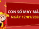 Con số may mắn hôm nay 12/1/2024 theo năm sinh: Số may đón LỘC trời ban