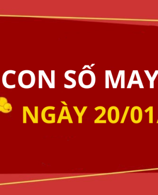 Con số may mắn hôm nay 20/1/2024 theo năm sinh: Tìm số CÁT giúp bạn ĐỔI ĐỜI