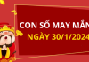 Con số may mắn hôm nay 30/1/2024 theo năm sinh: Tìm SỐ ĐẸP giúp bạn ĐỔI VẬN