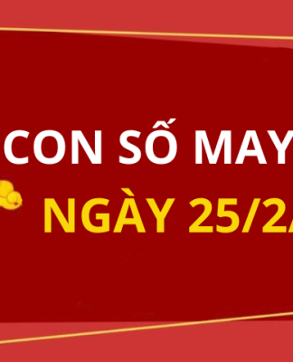 Con số may mắn hôm nay 25/2/2024 theo năm sinh: Số may đón LỘC trời ban