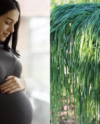 Loại rau giàu vitamin và khoáng chất, tốt cho sức khỏe mẹ bầu