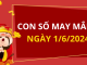 Con số may mắn hôm nay 1/6/2024 theo năm sinh: Chọn số phát lộc cho bạn