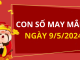 Con số may mắn hôm nay 9/5/2024 theo năm sinh: Chọn số may mắn cho từng tuổi