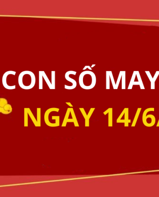 Con số may mắn hôm nay 14/6/2024 theo tuổi của bạn: Dãy số thu hút tài lộc