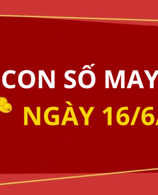 Con số may mắn hôm nay 16/6/2024 theo tuổi của bạn: Số mang tiền lộc về cho bạn