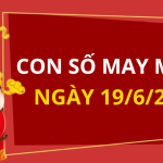 Con số may mắn hôm nay 19/6/2024 theo tuổi của bạn: Số hút lộc gấp bội tiền vàng về túi