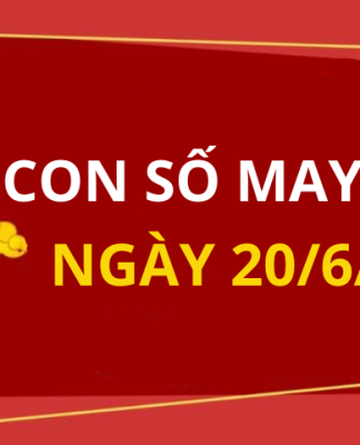 Con số may mắn hôm nay 20/6/2024 theo tuổi của bạn: Số phát lộc giúp bạn trúng lớn