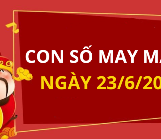 Con số may mắn hôm nay 23/6/2024 theo tuổi của bạn: Xem số tốt giúp bạn dễ đón lộc