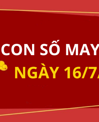Con số may mắn hôm nay 16/7/2024 theo tuổi của bạn: Tìm số may giúp bạn vượng tài