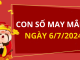 Con số may mắn hôm nay 6/7/2024 theo tuổi của bạn: Tìm số giúp bạn đón lộc lớn