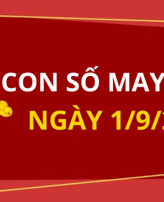Con số may mắn hôm nay 1/9/2024 theo tuổi của bạn: Tìm số giúp bạn đón lộc lớn