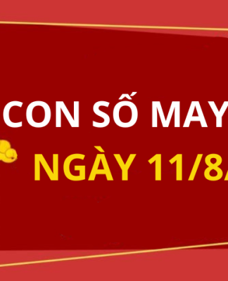 Con số may mắn hôm nay 11/8/2024 theo tuổi của bạn: Tìm số cát lành giúp bạn đổi vận