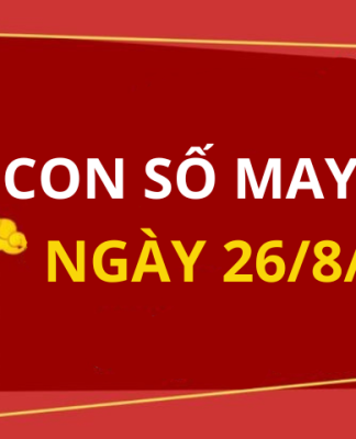 Con số may mắn hôm nay 26/8/2024 theo tuổi của bạn: Số hút lộc gấp bội tiền vàng về túi