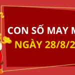 Con số may mắn hôm nay 28/8/2024 theo tuổi của bạn: Số cát giúp bạn cải vận