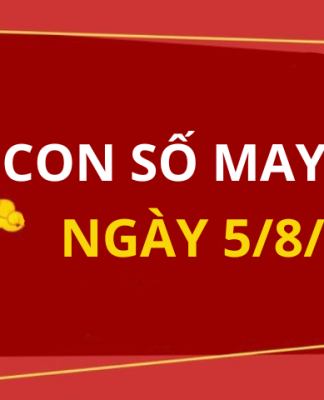 Con số may mắn hôm nay 5/8/2024 theo tuổi của bạn: Tìm ra con số vượng lộc hợp tuổi bạn