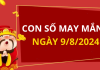 Con số may mắn hôm nay 9/8/2024 theo tuổi của bạn: Chọn số phát lộc cho bạn