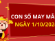 Con số may mắn hôm nay 1/10/2024 theo tuổi của bạn: Tìm số đẹp giúp bạn đổi vận