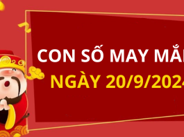 Con số may mắn hôm nay 20/9/2024 theo tuổi của bạn: Chọn đúng số để đổi vận ngay