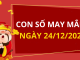 Con số may mắn hôm nay 24/12/2024 theo năm sinh: Tìm số giúp bạn đón lộc lớn