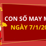 Con số may mắn hôm nay 7/1/2025 theo năm sinh: Chọn số cát hốt vàng về đầy túi