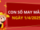 Con số may mắn hôm nay 1/4/2025 theo tuổi của bạn: Số đắc lộc cho tuổi của bạn