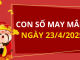 Con số may mắn hôm nay 23/4/2025 theo năm sinh: Tìm số cát lành giúp bạn đổi vận