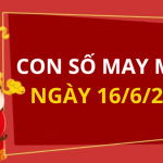 Con số may mắn hôm nay 16/6/2025 theo tuổi: Chọn số cát cho tất cả các tuổi
