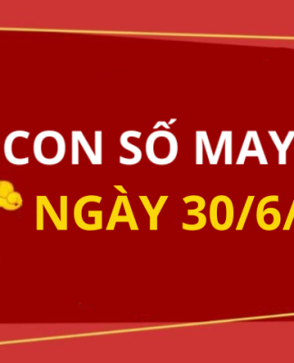 Con số may mắn hôm nay 30/6/2025 theo tuổi: Số cát giúp bạn đổi đời