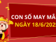 Con số may mắn hôm nay 18/6/2025 theo tuổi: Số mang tiền lộc về cho bạn