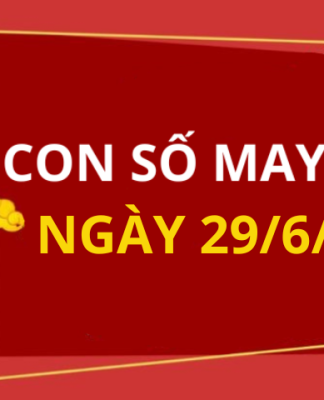 Con số may mắn hôm nay 29/6/2025 theo tuổi: Xem số hay có lộc ngay