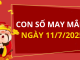 Con số may mắn hôm nay 11/7/2025 theo tuổi: Chọn đúng số giúp bạn phát tài