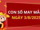 Con số may mắn hôm nay 3/8/2025 theo tuổi: Số cát cho tất cả các tuổi