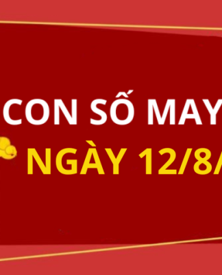 Con số may mắn hôm nay 12/8/2025 theo tuổi: Số hay có lộc ngay