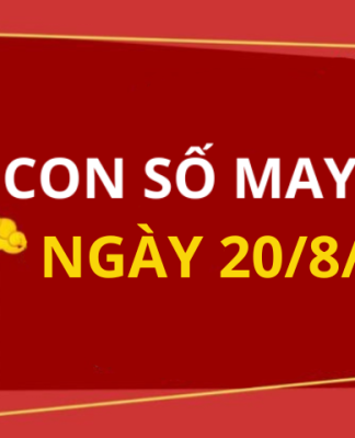 Con số may mắn hôm nay 20/8/2025 theo tuổi: Số may đón lộc