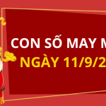 Con số may mắn hôm nay 11/9/2025 theo tuổi: Số đắc lộc cho tuổi của bạn