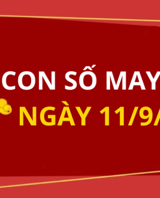 Con số may mắn hôm nay 11/9/2025 theo tuổi: Số đắc lộc cho tuổi của bạn