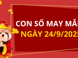 Con số may mắn hôm nay 24/9/2025 theo tuổi: Số may giúp bạn vượng tài