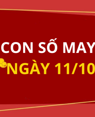 Con số may mắn hôm nay 11/10/2025 theo tuổi: Số thu hút tài lộc