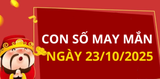 Con số may mắn hôm nay 23/10/2025 theo tuổi: Xem số hay có lộc ngay