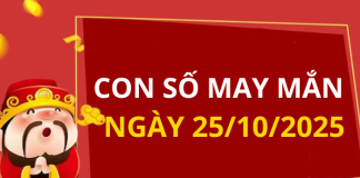 Con số may mắn hôm nay 25/10/2025 theo tuổi: Xem số vàng hợp tuổi bạn