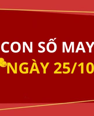 Con số may mắn hôm nay 25/10/2025 theo tuổi: Xem số vàng hợp tuổi bạn