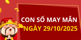 Con số may mắn hôm nay 29/10/2025 theo tuổi: Xem số vàng hợp tuổi bạn