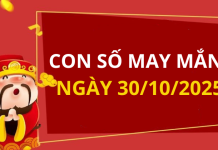 Con số may mắn hôm nay 30/10/2025 theo tuổi: Xem số vàng hợp tuổi bạn