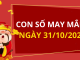 Con số may mắn hôm nay 31/10/2025 theo tuổi: Chọn số cát giúp bạn lấy may