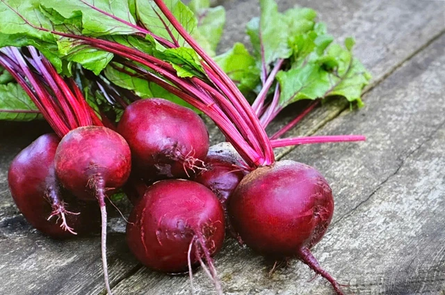 Củ dền và lá củ dền giúp tăng cường sức khỏe phổi