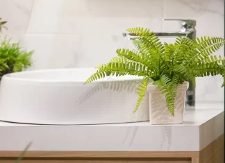 6 loại cây trồng trong phòng tắm giúp hút ẩm, lọc khí