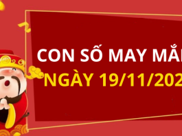 Con số may mắn hôm nay 19/11/2025 theo tuổi: Xem số phát lộc
