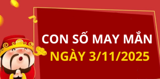 Con số may mắn hôm nay 3/11/2025 theo tuổi: Số thu hút tài lộc