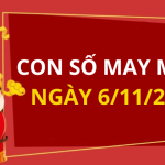 Con số may mắn hôm nay 6/11/2025 theo tuổi: Chọn đúng số phát tài