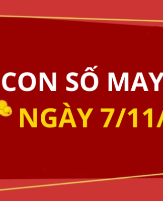 Con số may mắn hôm nay 7/11/2025 theo 12 con giáp: Số đẹp giúp bạn đổi vận